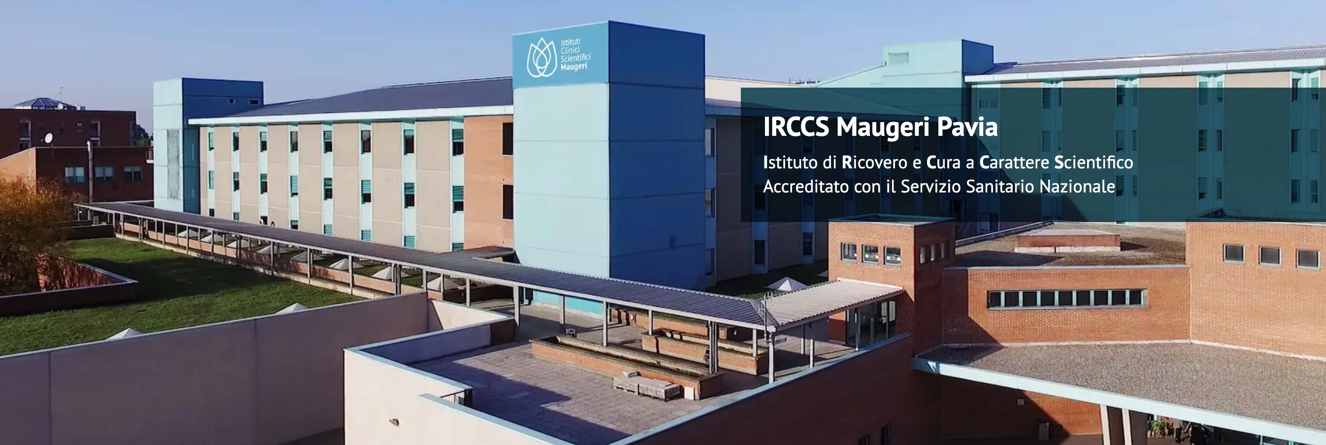 EGGS TOP 2028 CONGRESS